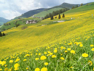 Spaziergang: San Vigilio - Ciasè - San Vigilio - #1 - suedtirol.info