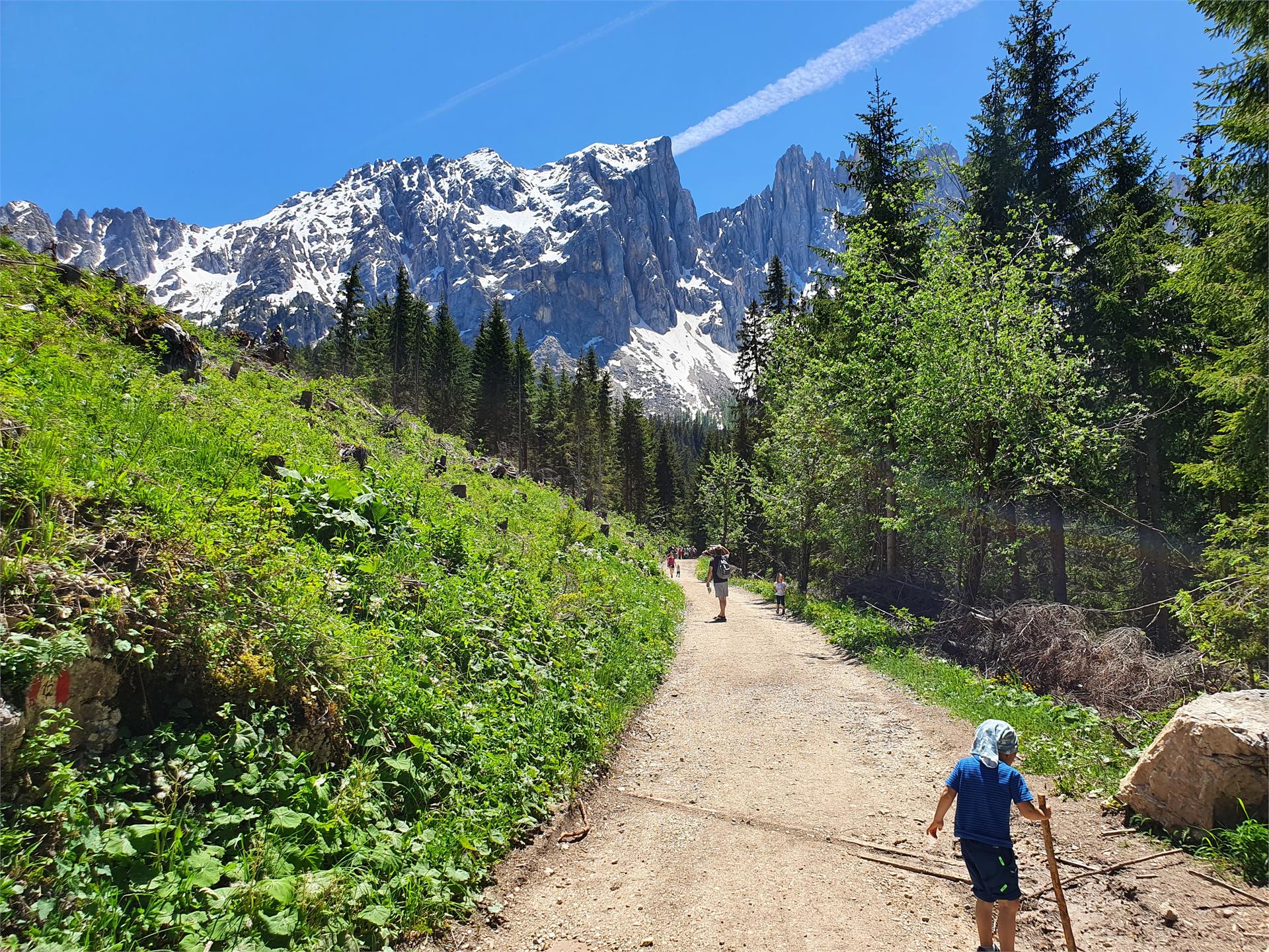 Circular lake hike to Lake Carezza and Lake Mittersee Welschnofen/Nova Levante 3 suedtirol.info