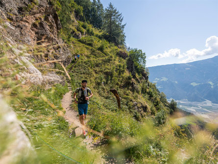 Sunny Mountain Trail Naturns/Naturno 1 suedtirol.info