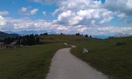 Escursione estiva: Passo delle Erbe - Forcella di Putia San Martino 3 suedtirol.info