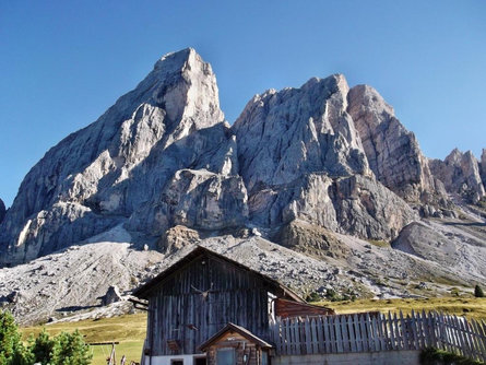 Escursione estiva: Passo delle Erbe - Forcella di Putia San Martino 1 suedtirol.info