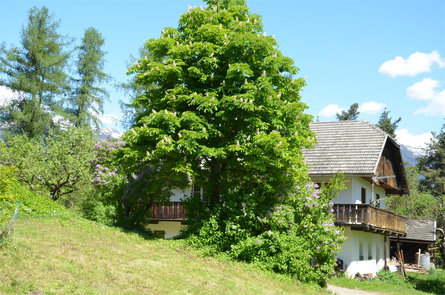 Passeggiata leggendaria sul Kienberg Chienes 3 suedtirol.info