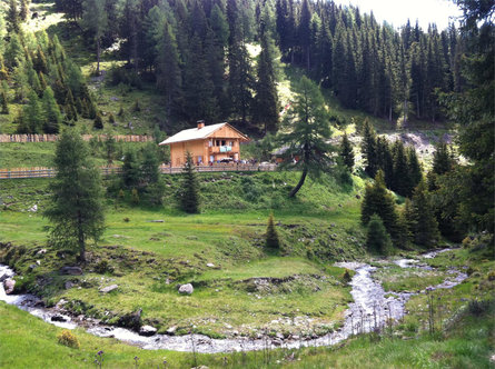 Escursione estiva: Malga San Silvestro e Cappella di San Silvestro San Candido 1 suedtirol.info