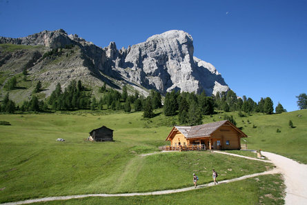 Summer hike: Antermoia - Al Bagn Valdander - Ütia de Göma hut - Passo delle Erbe San Martin /San Martino 1 suedtirol.info