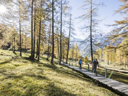 Passeggiata: Gasthof Panorama – Rifugio Pendio Monte Elmo Sesto 1 suedtirol.info