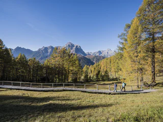 Spazierweg: Gasthof Panorama – Helmhanghütte - Sexten - #1 - suedtirol.info