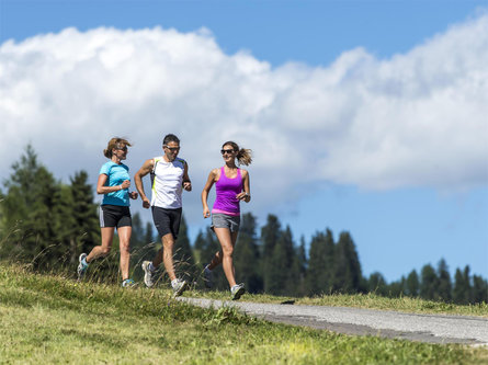 “Saltner Berg” Trail Tiers am Rosengarten/Tires al Catinaccio 1 suedtirol.info