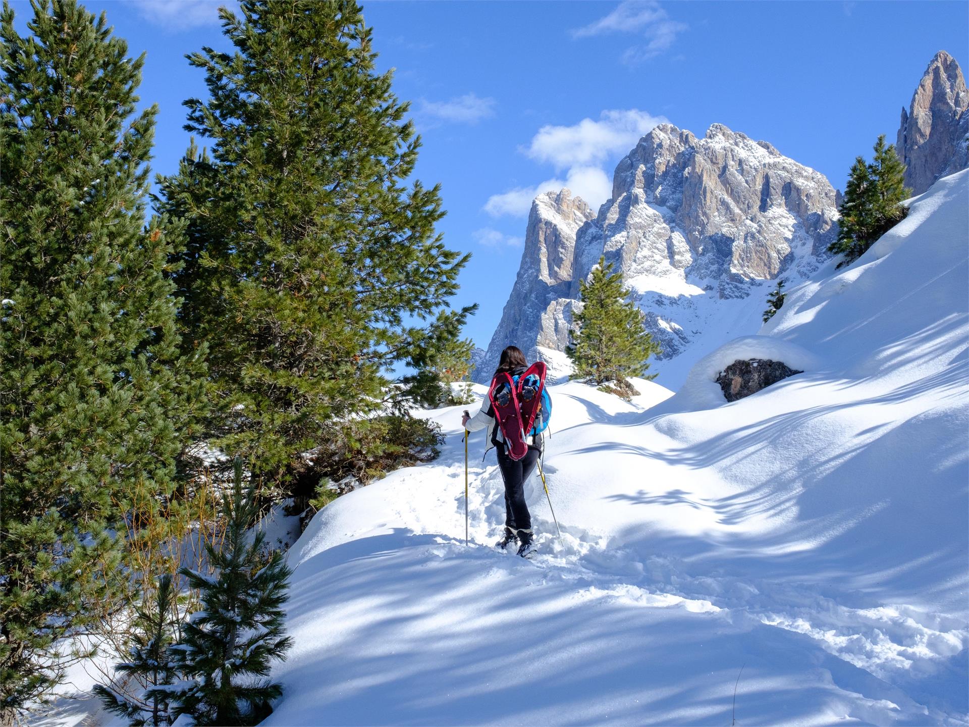 Schneeschuhwanderung Halsl Villnöss 1 suedtirol.info