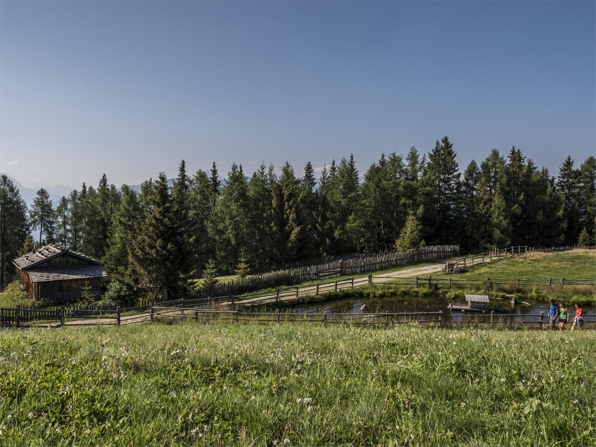 Devils' Stone and Pertinger Alm hut in Terenten Terenten/Terento 5 suedtirol.info