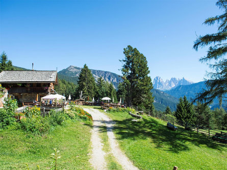 San Pietro in Valle - Baita Unterpulg Laion 2 suedtirol.info