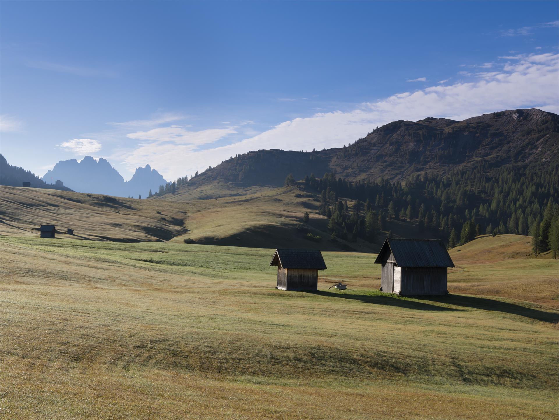 Summer hiking tour - Prato Piazza/Plätzwiese - Monte Specie/Strudelkopf -  Activities and Events in South Tyrol