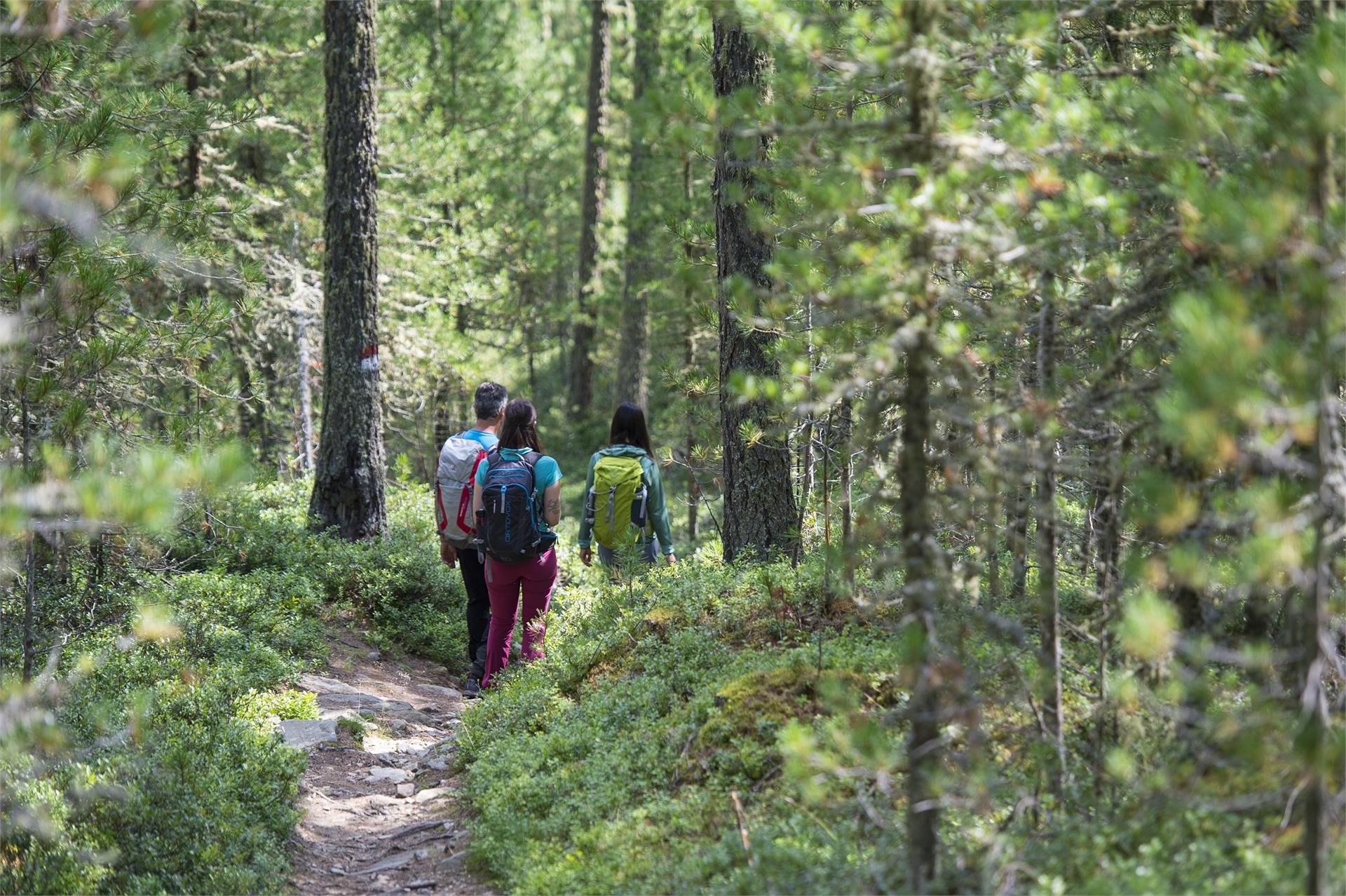 Seerunde Vernagt Stausee Schnals 3 suedtirol.info