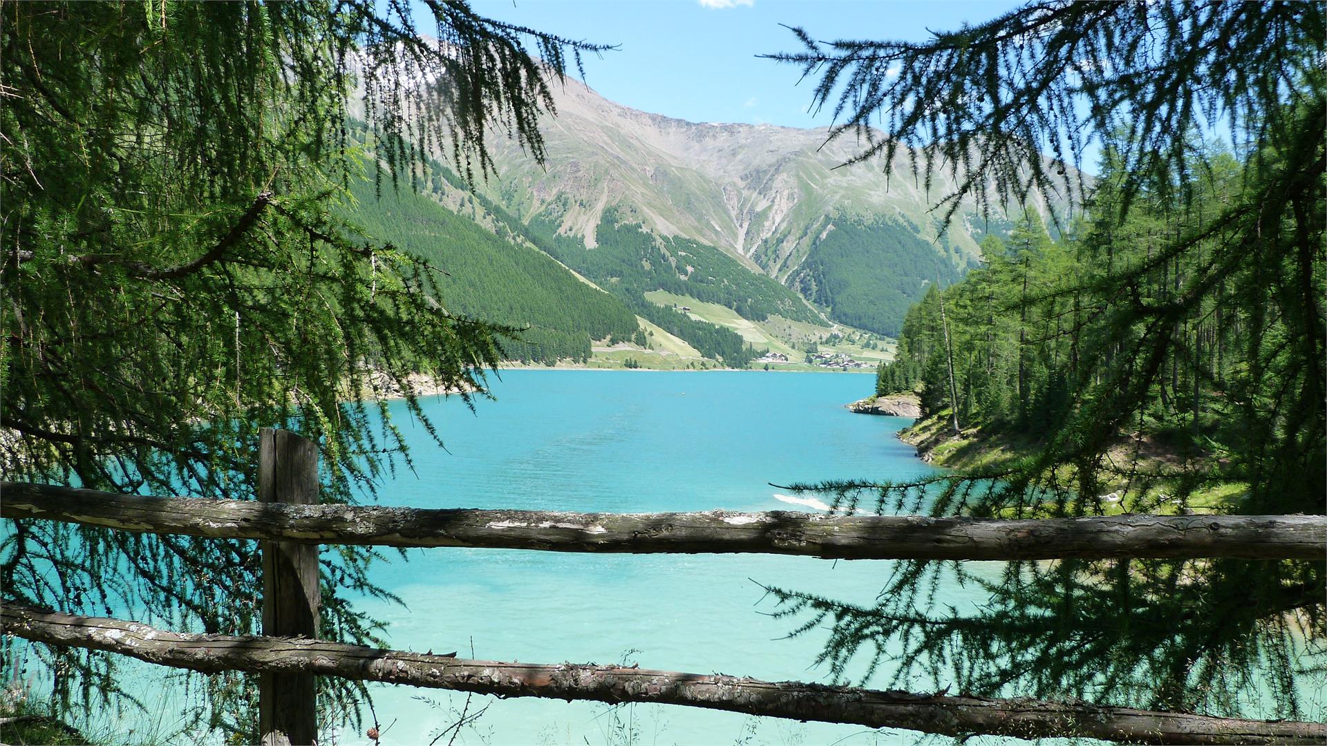 Seerunde Vernagt Stausee Schnals 4 suedtirol.info