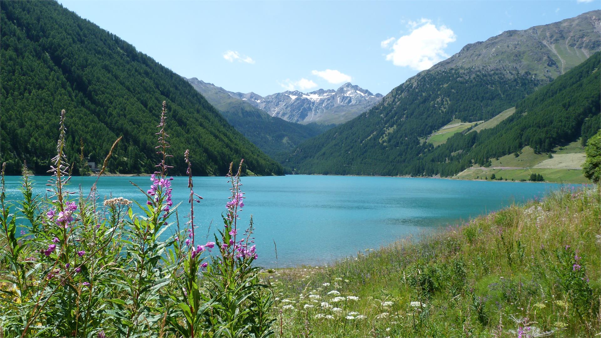 Seerunde Vernagt Stausee Schnals 2 suedtirol.info