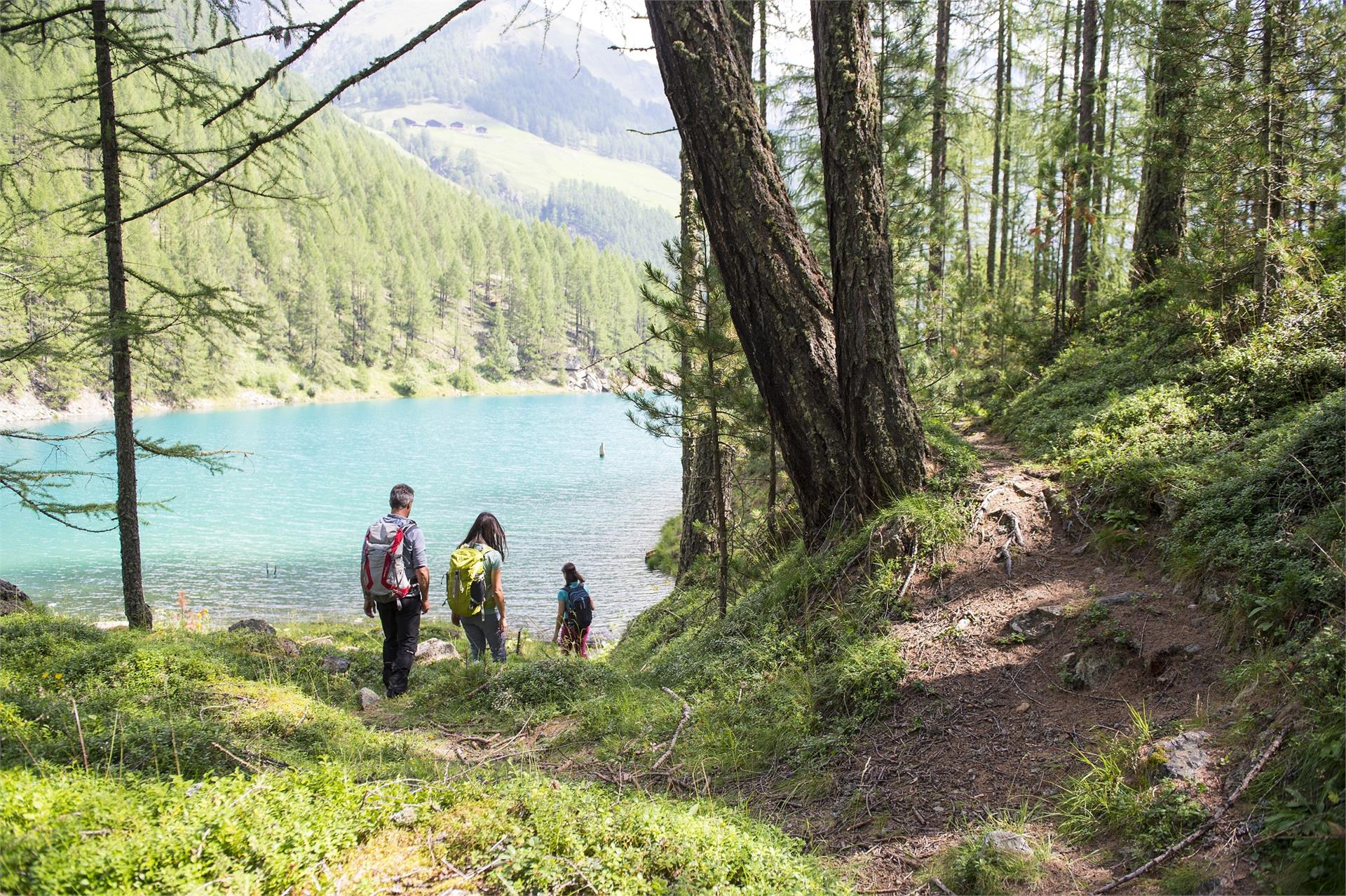 Seerunde Vernagt Stausee Schnals 1 suedtirol.info