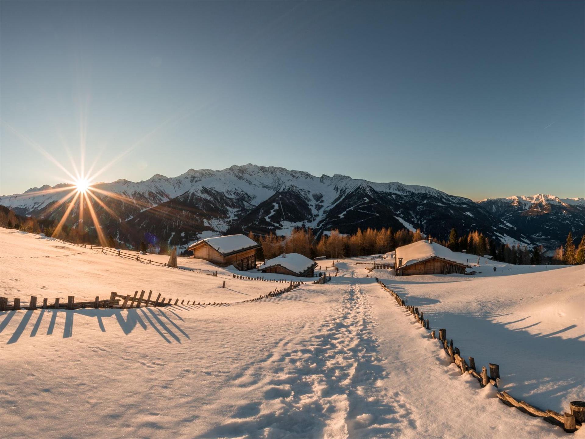 Escursione con le ciaspole alla malga Holzerböden Valle Aurina 1 suedtirol.info