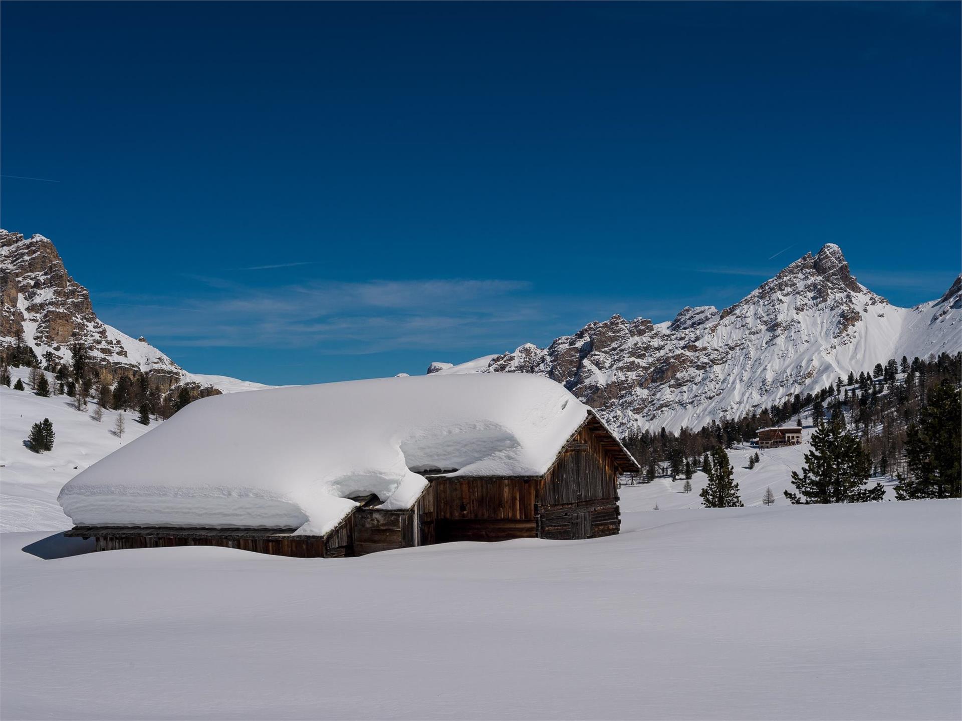 Snow-shoe-hiking to the Fanes pasture Al Plan/San Vigilio 3 suedtirol.info