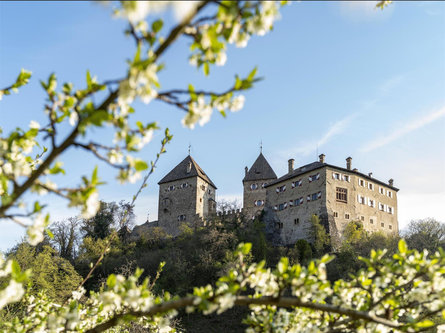 Castle Circular Trail Tisens/Tesimo 3 suedtirol.info