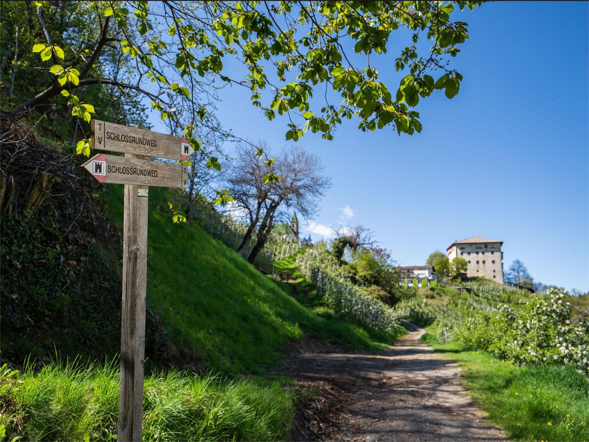 Il sentiero circolare dei castelli Tesimo 1 suedtirol.info