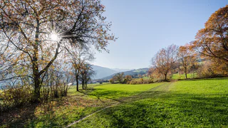 Steine erzählen - Pfalzen - #2 - suedtirol.info