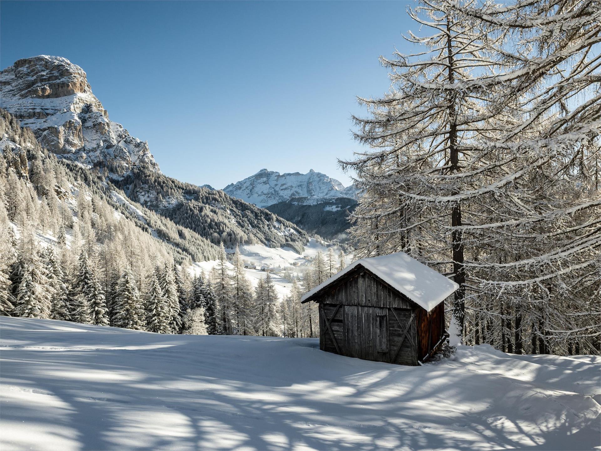 Ciaspolata dal passo Gardena a Colfosco Corvara 2 suedtirol.info