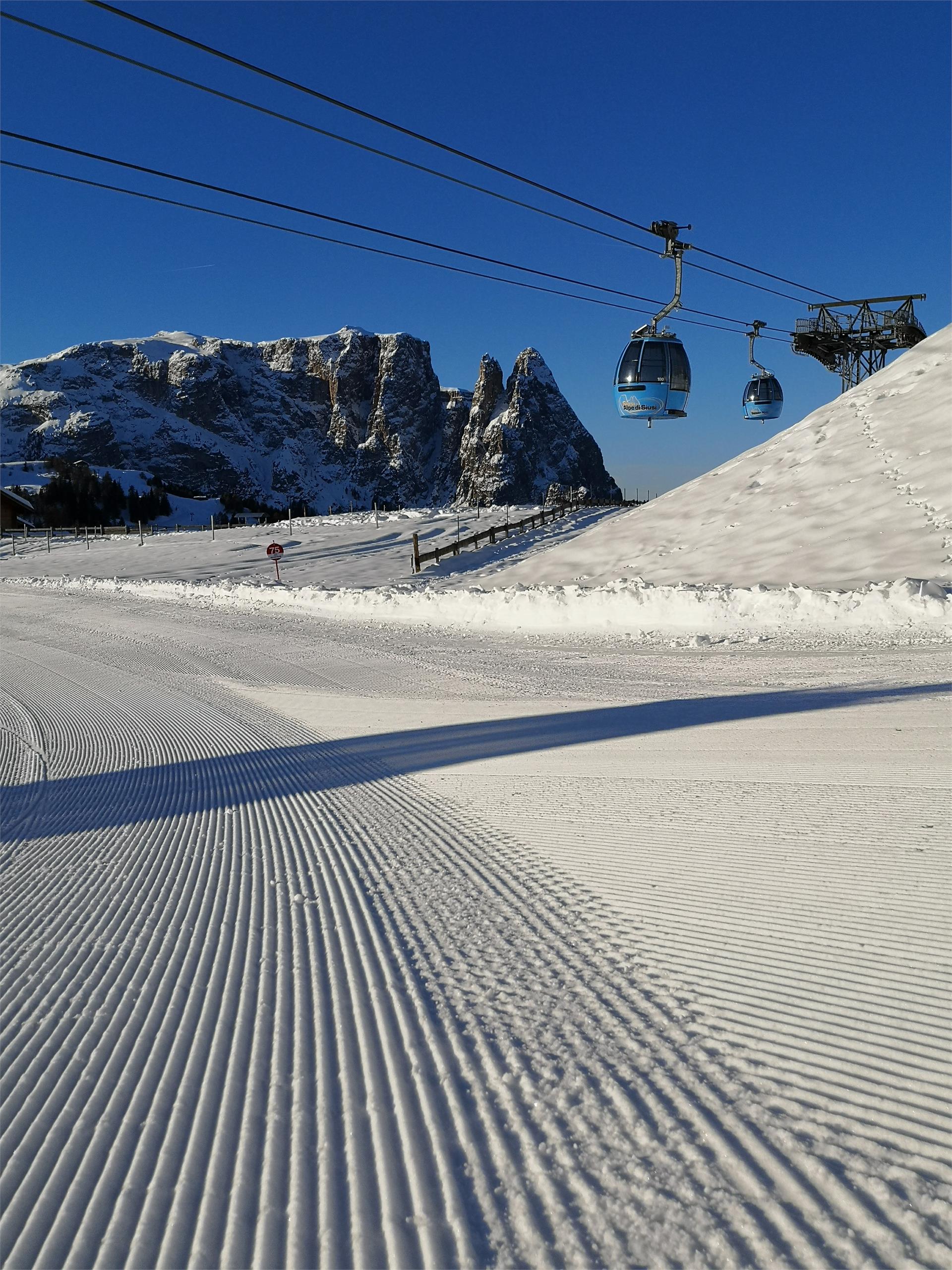 Seis - Seiser Alm Kastelruth 8 suedtirol.info