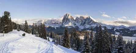 Ortisei - Alpe di Siusi Ortisei 2 suedtirol.info