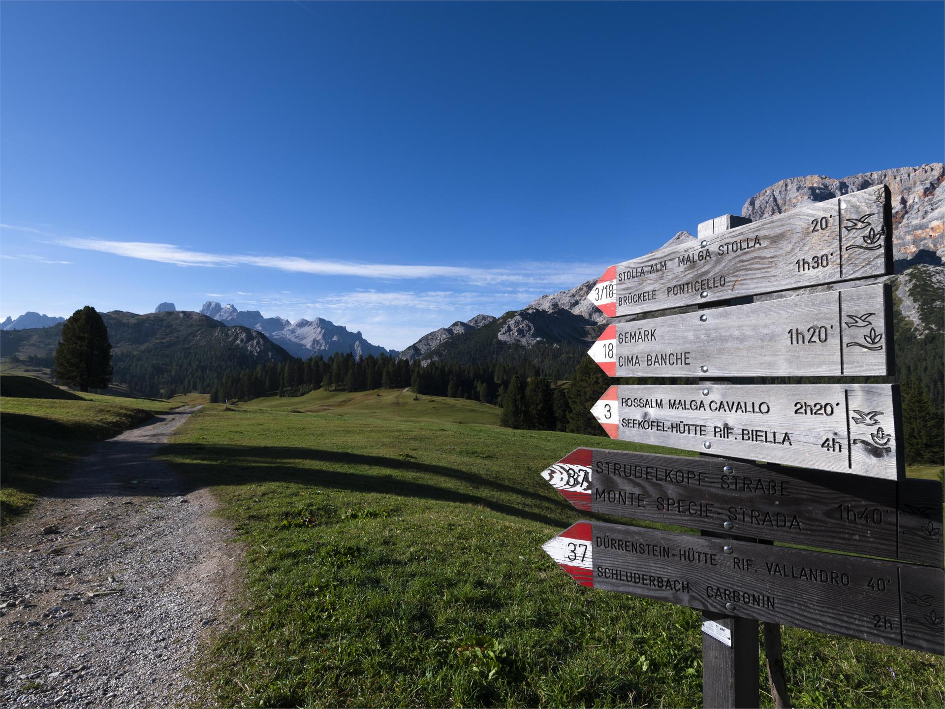 Escurisone estiva - Ponticello - Malga Stolla - Prato Piazza Braies 1 suedtirol.info