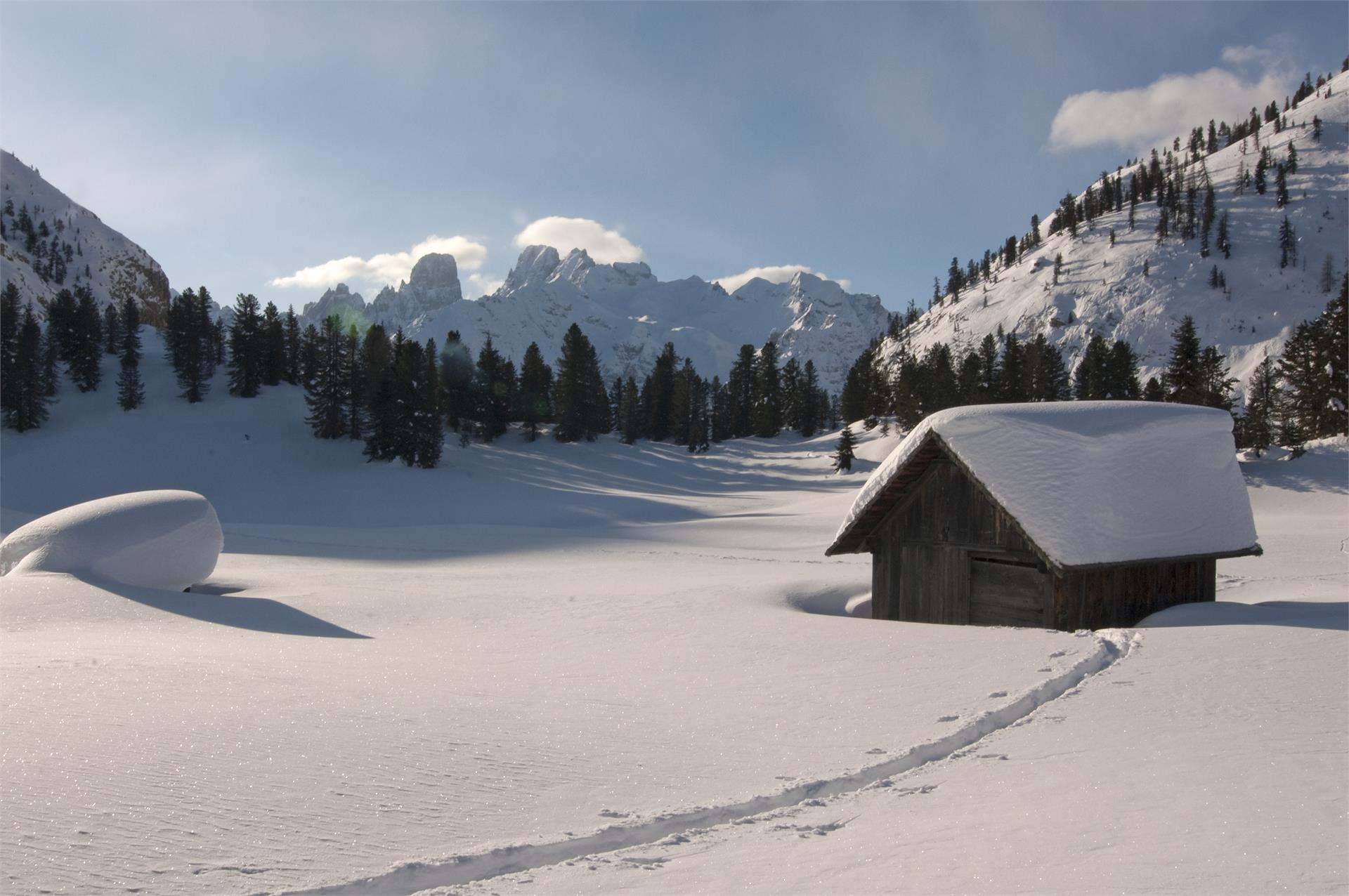 Escurisone estiva - Ponticello - Malga Stolla - Prato Piazza Braies 2 suedtirol.info