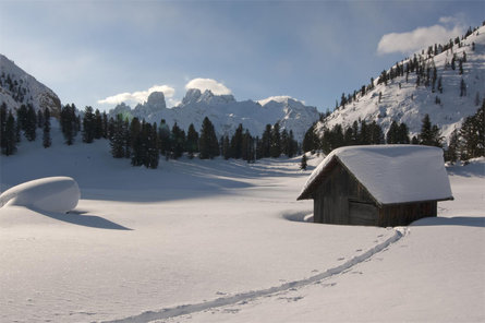 Summer hiking - Ponticello/ Brückele - Malga Stolla/ Stolla Alm - Prato Piazza/ Plätzwiese Prags/Braies 2 suedtirol.info