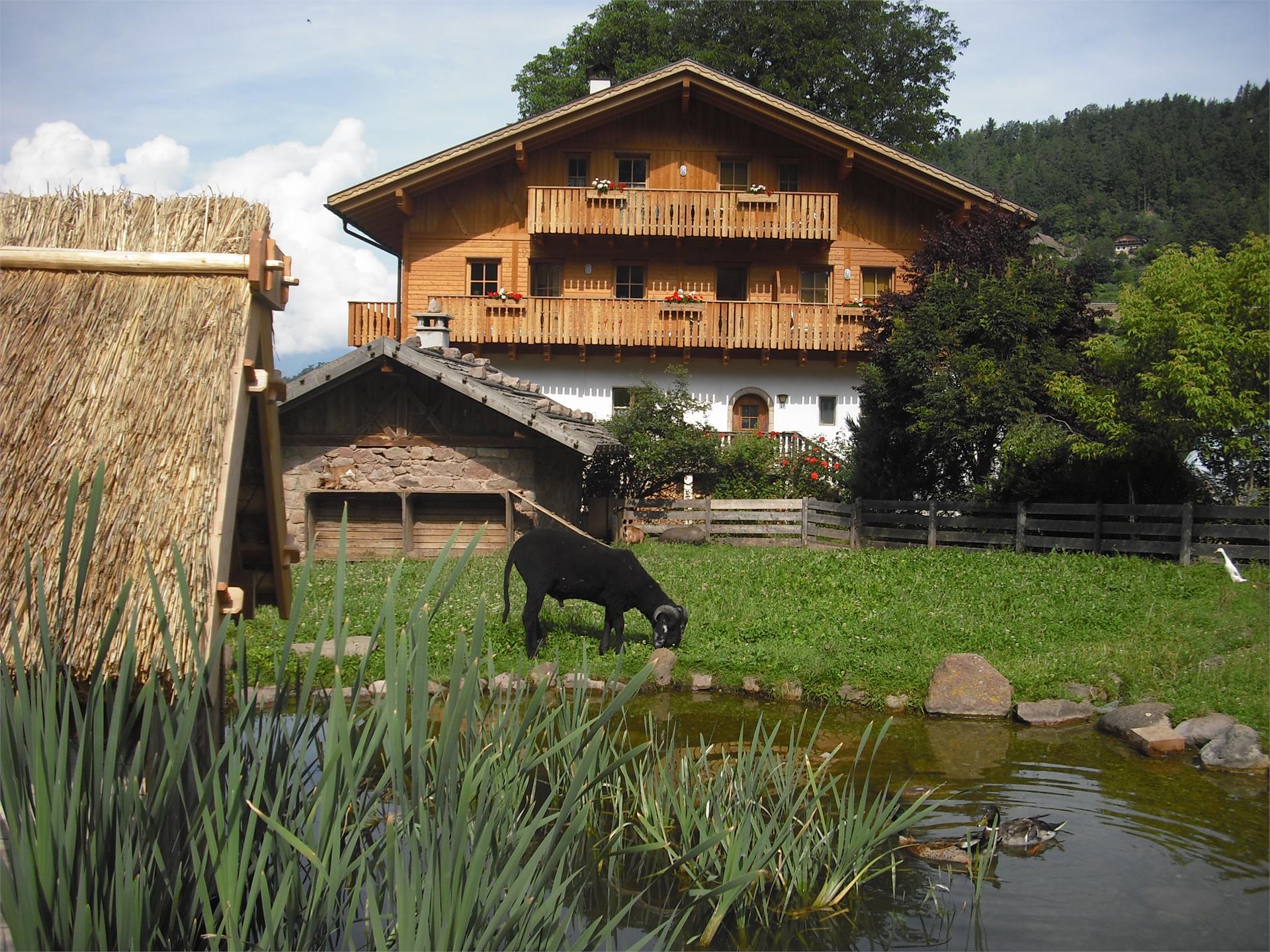 Schlaneid - Bacherhof - St. Ulrich Mölten/Meltina 1 suedtirol.info