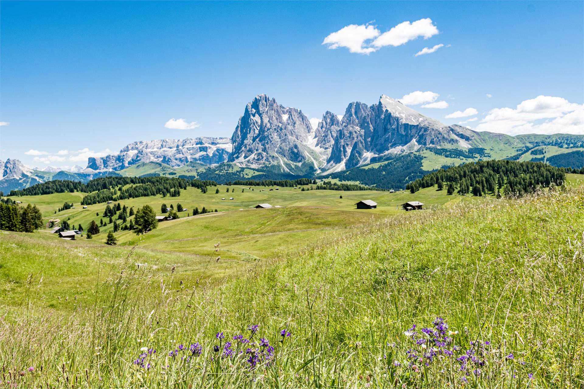 Tour on the Seiser Alm Kastelruth/Castelrotto 1 suedtirol.info