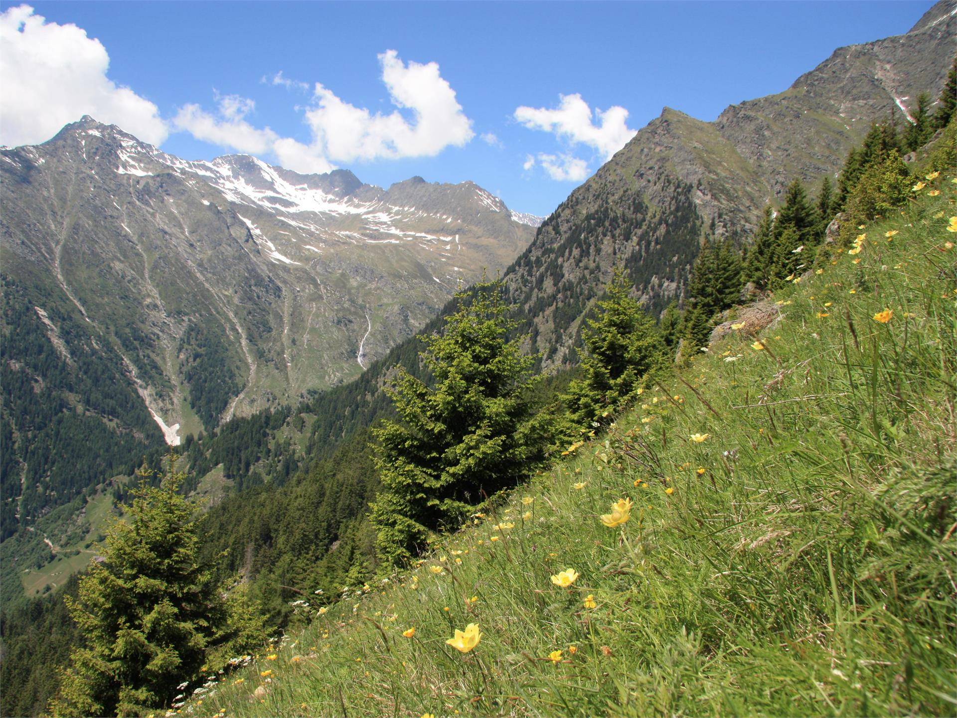 Tour all'alba sull' Alta via di Merano, Hohe Wiege - Rifugio Nasereit - Cascata di Parcines Parcines 6 suedtirol.info