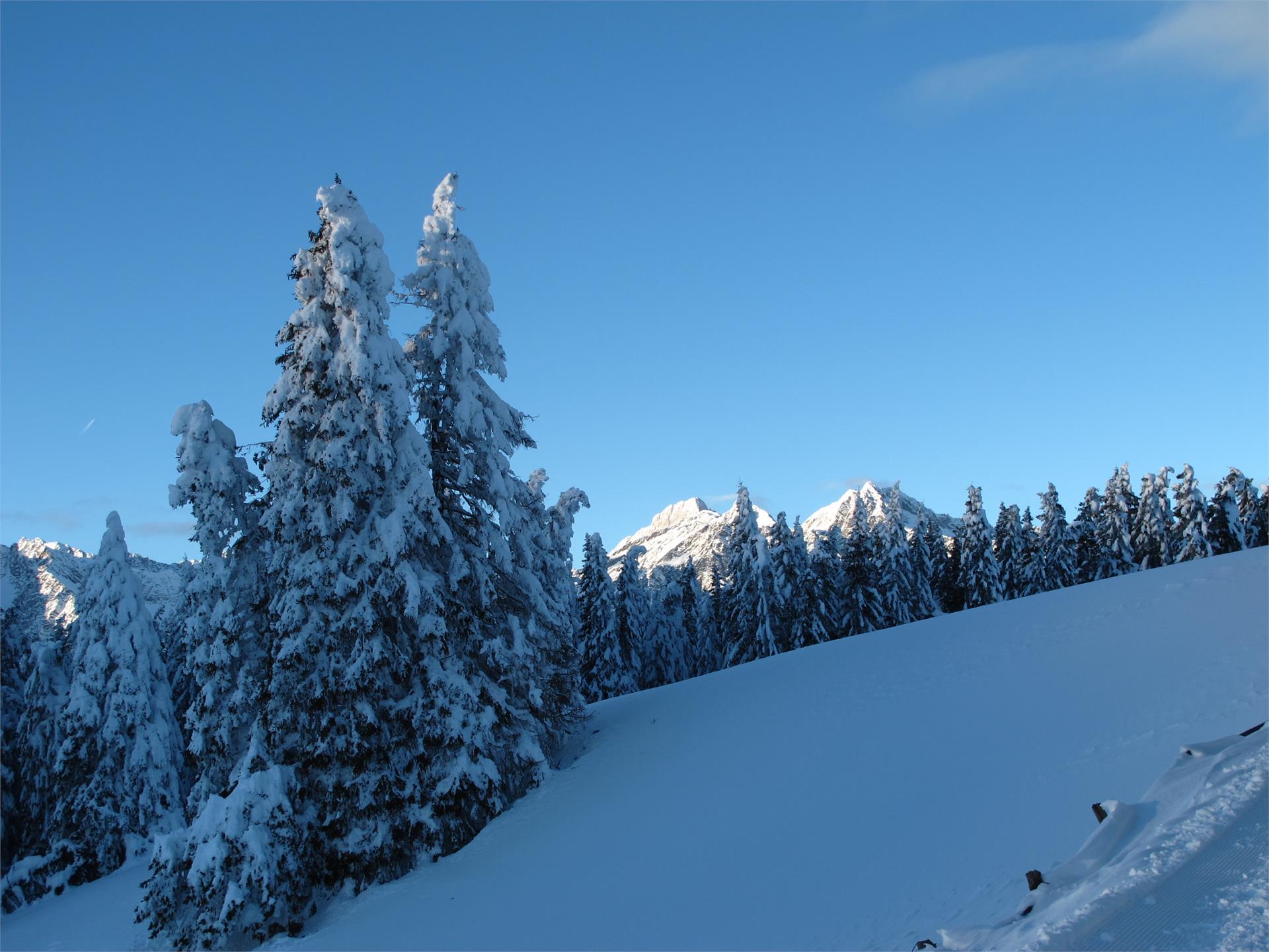 Seilbahn Aschbach Rabland/Partschins Partschins 10 suedtirol.info