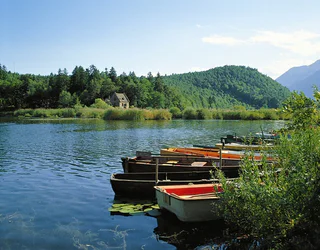 Der große Montiggler See