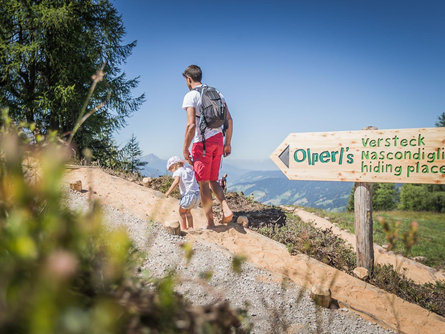 Theme path: Olperl alpine circuit for families Sexten/Sesto 1 suedtirol.info