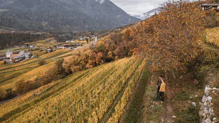 Törggele-Rundweg in Neustift-Brixen - Vahrn - #3 - suedtirol.info