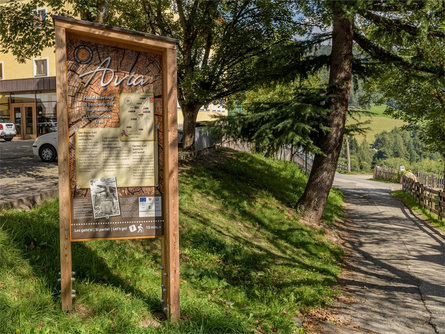 Sentiero escursionistico "Avia" - Il sentiero del legnaiuolo San Genesio Atesino 1 suedtirol.info