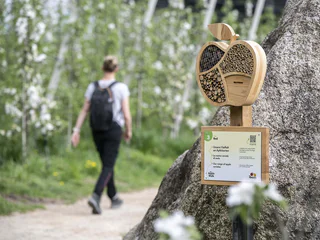 The Apple Walk - Latsch - #1 - suedtirol.info