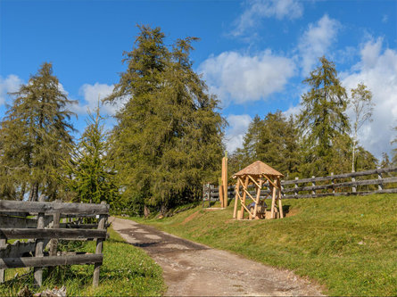 Sentiero escursionistico "Guggn" San Genesio-Tschaufen Terlano 10 suedtirol.info