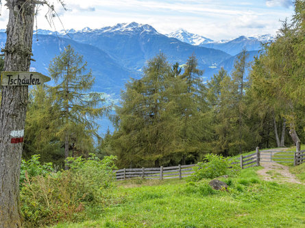 Sentiero escursionistico "Guggn" San Genesio-Tschaufen Terlano 16 suedtirol.info