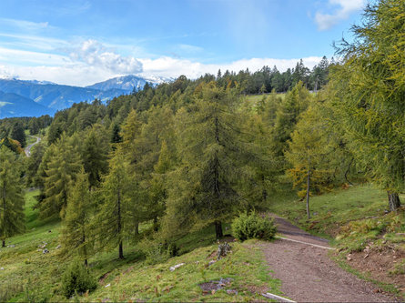 Sentiero escursionistico "Guggn" San Genesio-Tschaufen Terlano 17 suedtirol.info