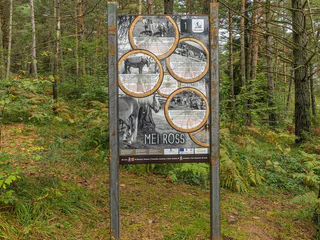 Guggnweg