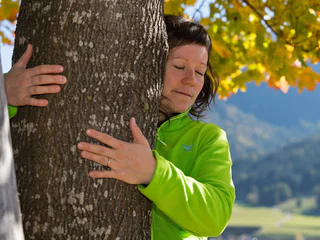 Themenweg "Balance" - Kraftorte und Waldtherapie - Niederdorf - #1 - suedtirol.info