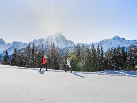 Theme path in winter: The meditation path Sexten/Sesto 1 suedtirol.info