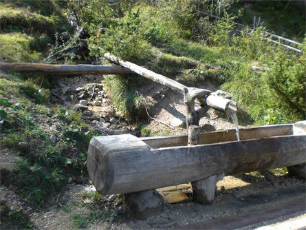 Sentiero tematico: Sorgenti della Drava San Candido 1 suedtirol.info