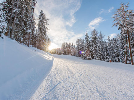 Runs down to resort Piz Graun im Vinschgau/Curon Venosta 1 suedtirol.info