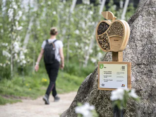 The Apple walk - Apfel-Lehrpfad mit Quiz - Partschins - #10 - suedtirol.info