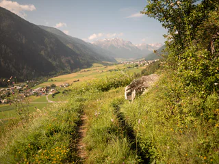 Waalwanderung Turnaunawaal - Taufers im Münstertal - #3 - suedtirol.info