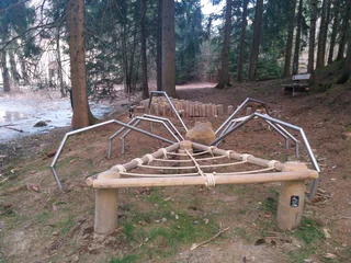 Spinne